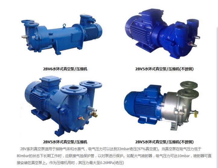 2BV系列水環真空泵